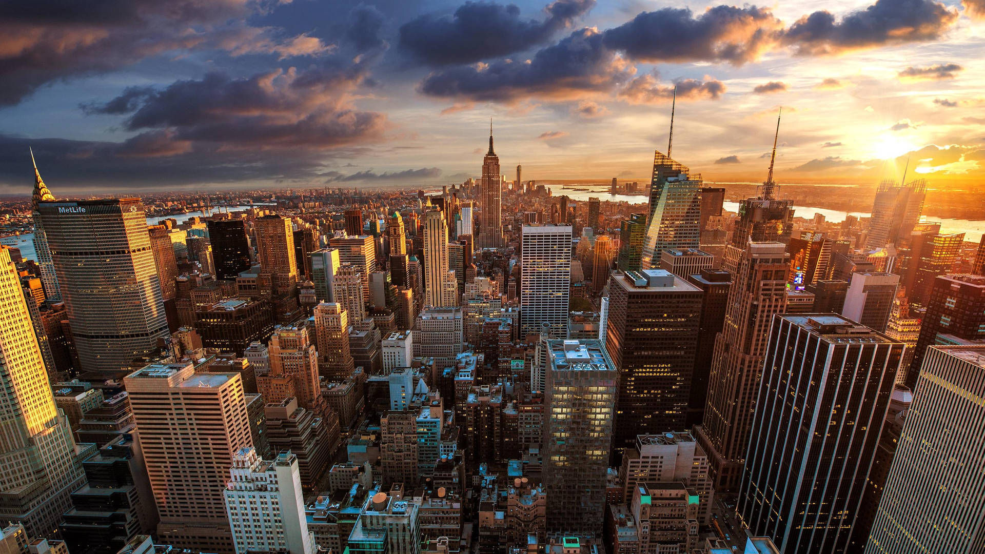 New York Times Square Experience