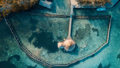 Tropical Thatch Caye - Belize