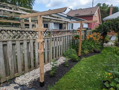 Raspberry Trellis