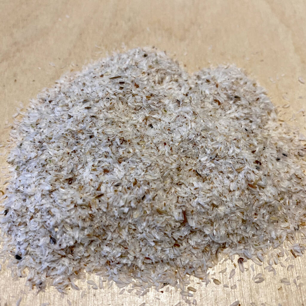 Psyllium blond Bio