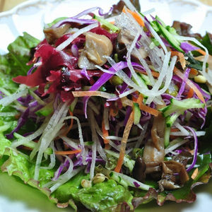 Shanti Salad