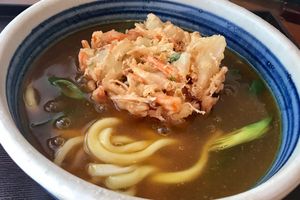 野菜天ぷらカレーうどん