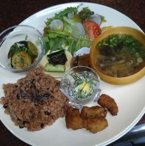 酵素玄米と野菜のプレートランチ