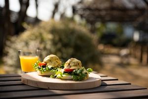 ベジベネディクト