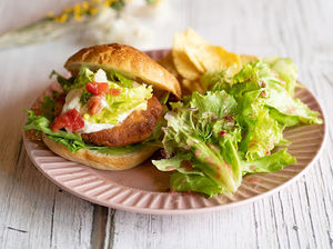 Vegan　ソイ　バーガー