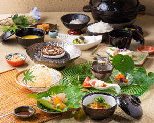 全40種類以上野菜などを使用した身体に癒しを与えるヴィーガンコース全10品