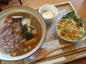 ヴィーガンカレープレート