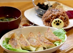 発酵ヴィーガン餃子プレート