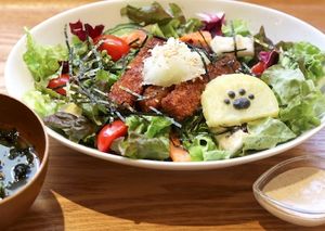 美腸活サラダ丼