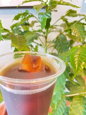 オーガニックコーヒー