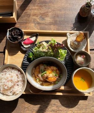 日替わり発酵御膳