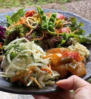 本日のランチコース