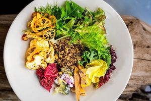 TREEブッダボウル