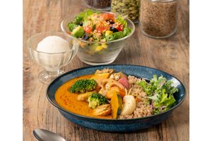 【オリエンタルヴィーガンフレンドリー】お野菜たっぷり玄米のスパイスカレーセット