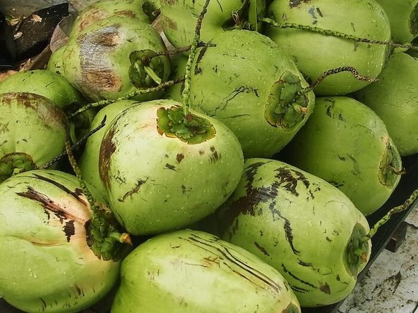 ココナッツの食べ方知ってますか？食べられる部分についておさらいしよう