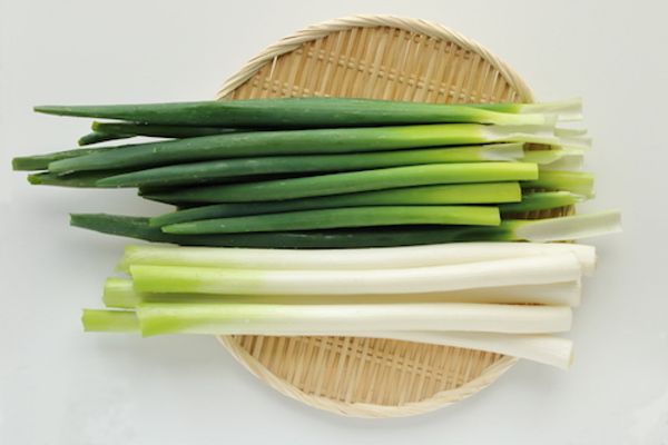 A Delightful and Delicious Japanese Green (Welsh) Onion (Saitama Prefecture)