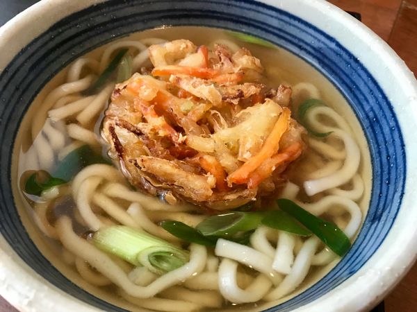 野菜天ぷらうどん