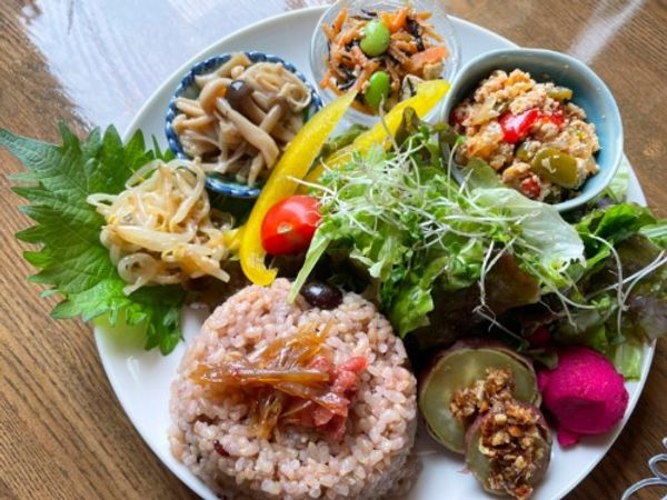 小さな宇宙プレート