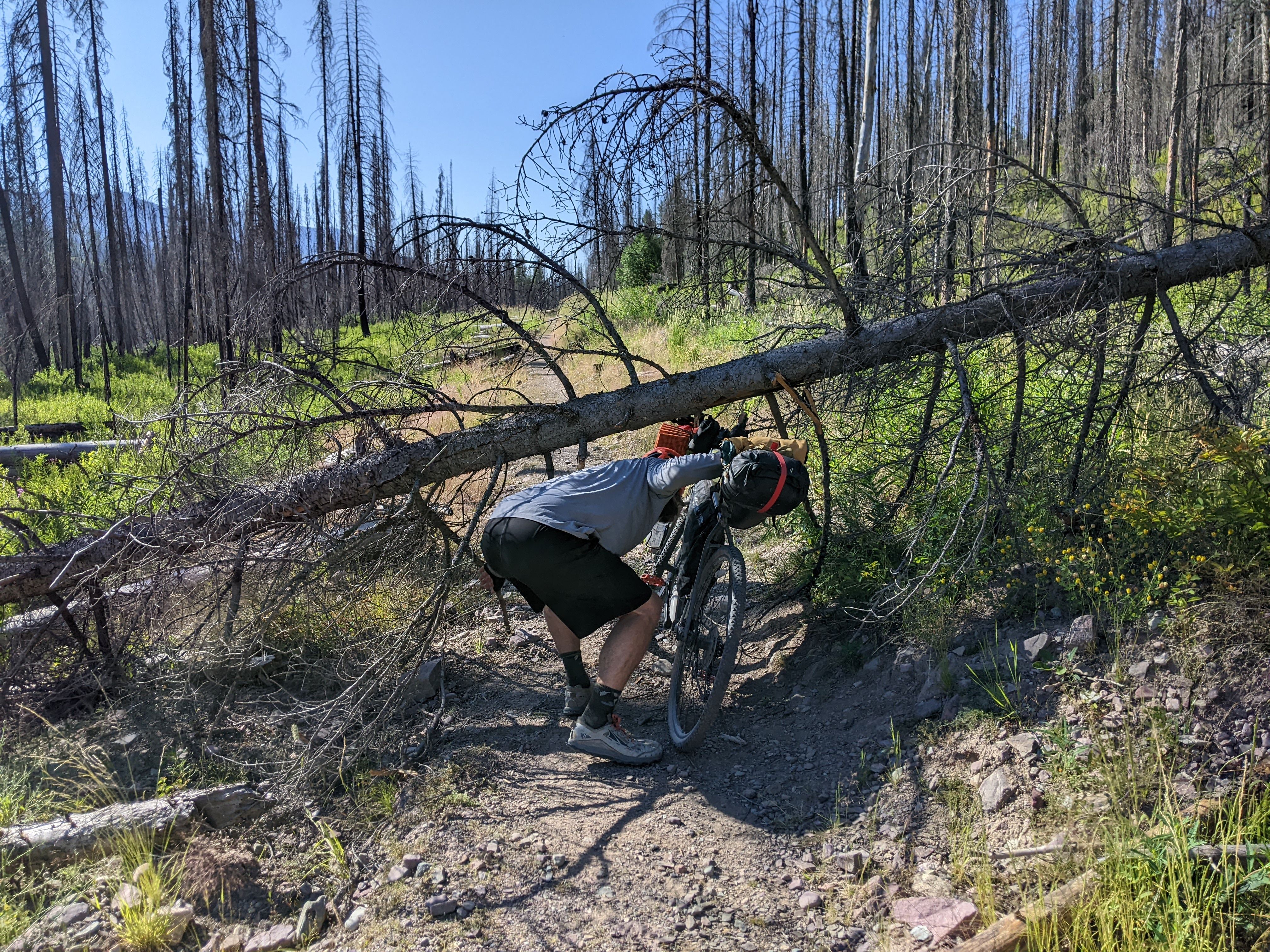 GDMBR: The Border to Helena