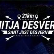 Mitja Desvern