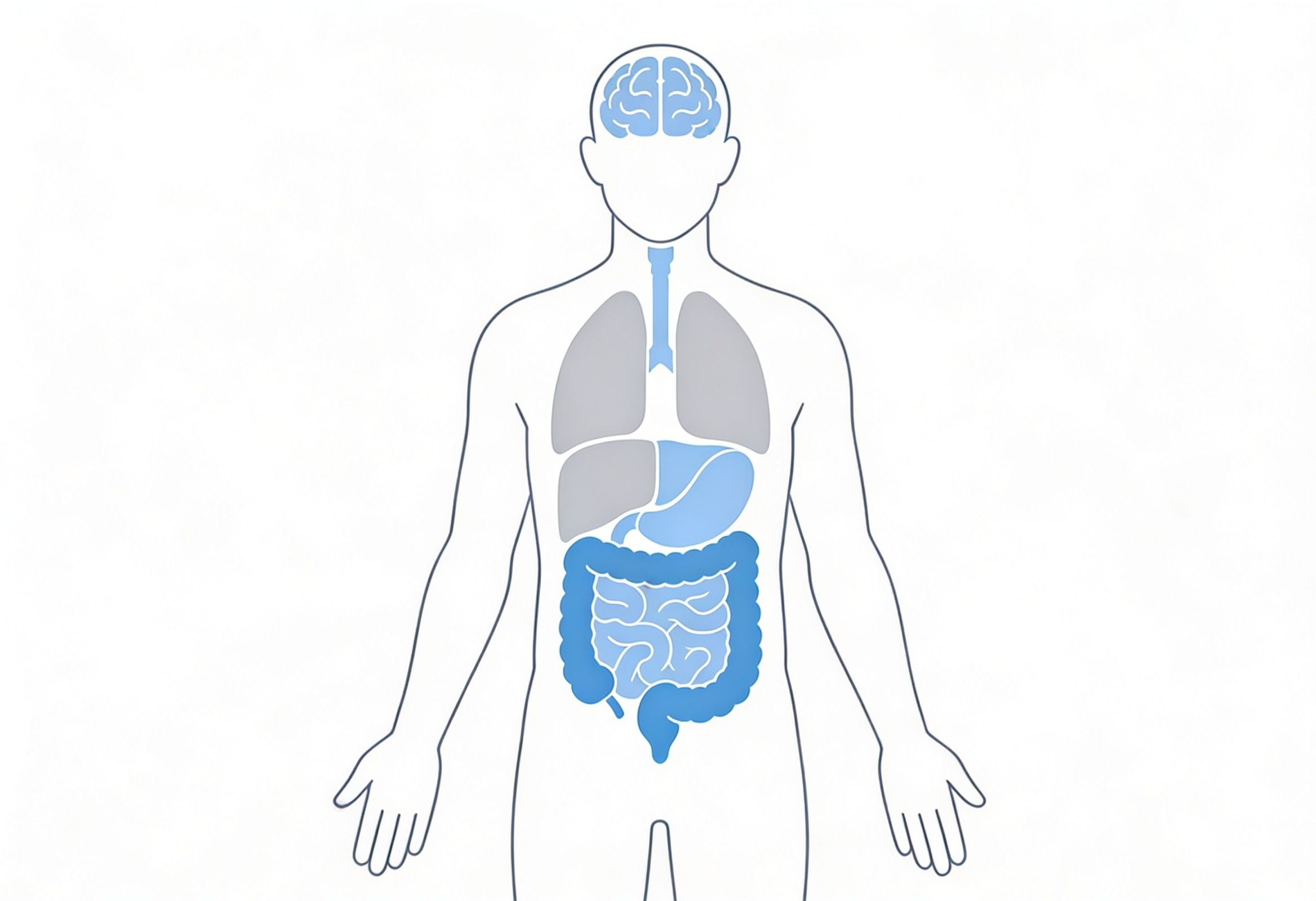 leaky gut symptoms affecting brain skin joints and energy levels across the body