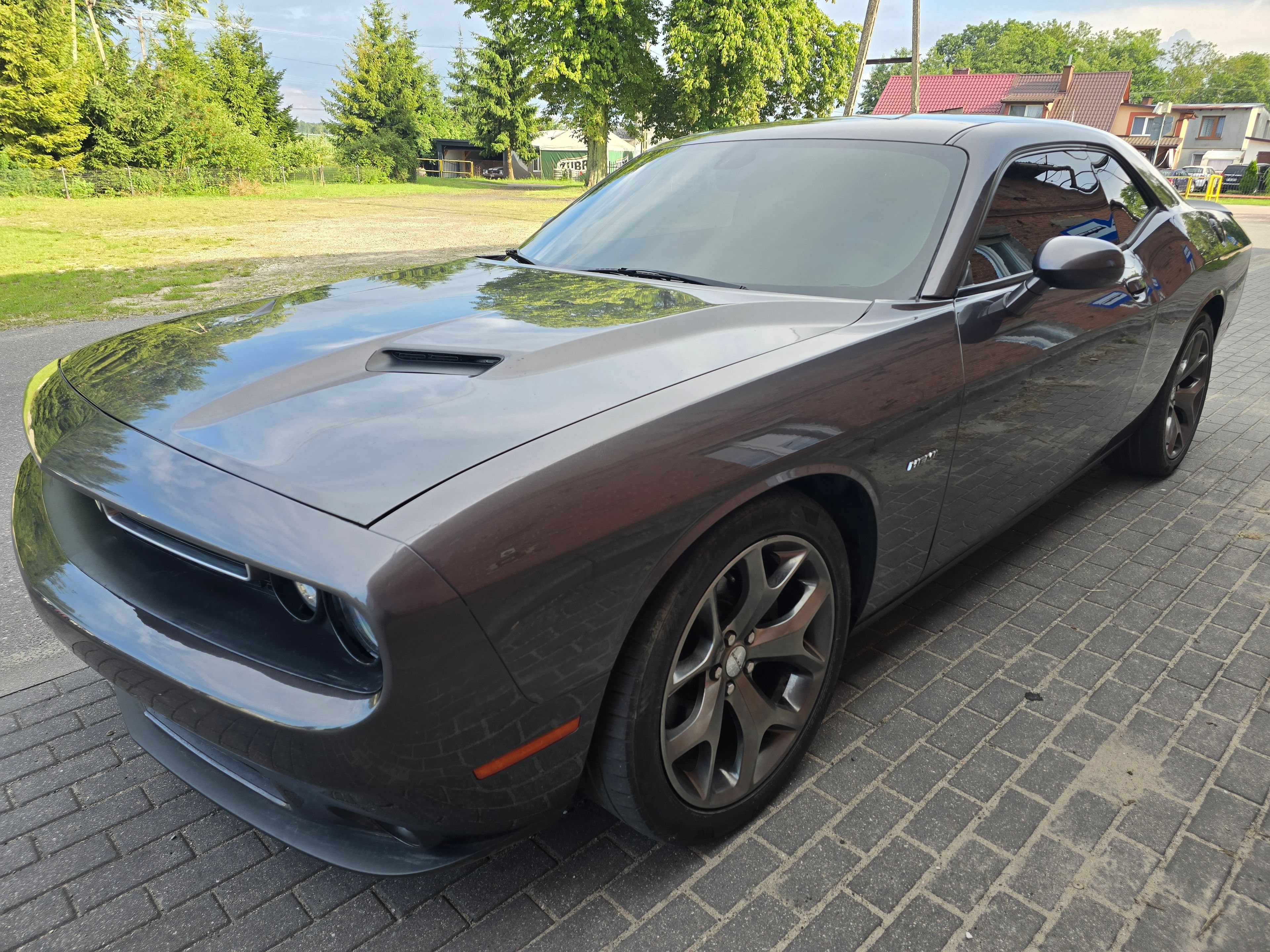 Dodge Challenger Graphite Coupe 2019