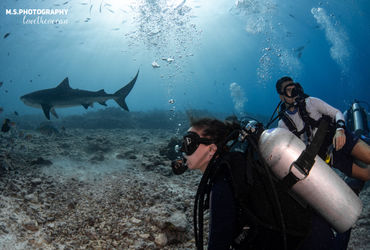 Combo Shark Package 4 - 09 Nights + 19 Dives