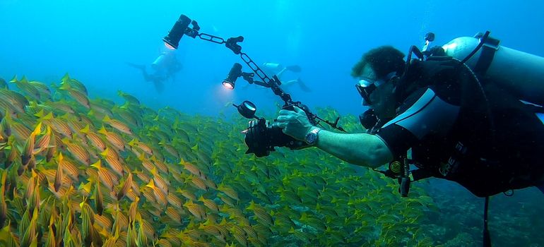 PADI Digital Underwater Imaging Specialty