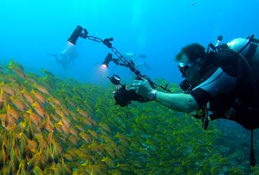 PADI Digital Underwater Imaging Specialty