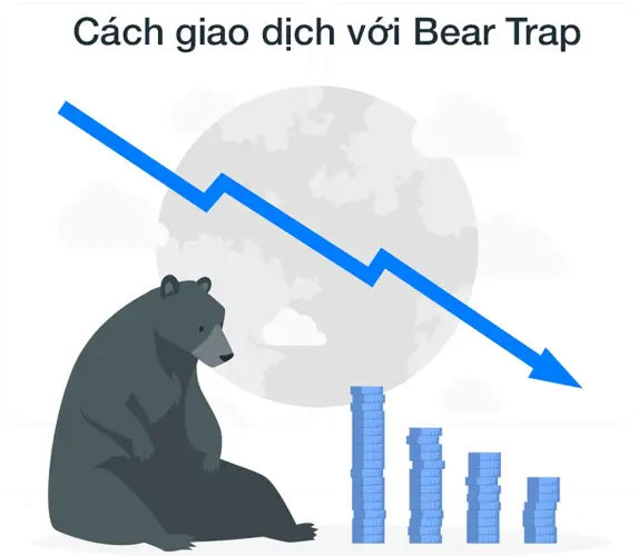 Bear Trap Là Gì? Tất Cả Mọi Thứ Bạn Cần Biết Về Bear Trap