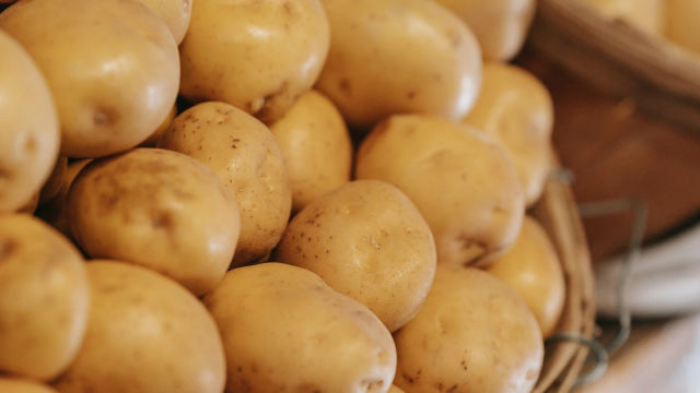 Small Potatoes