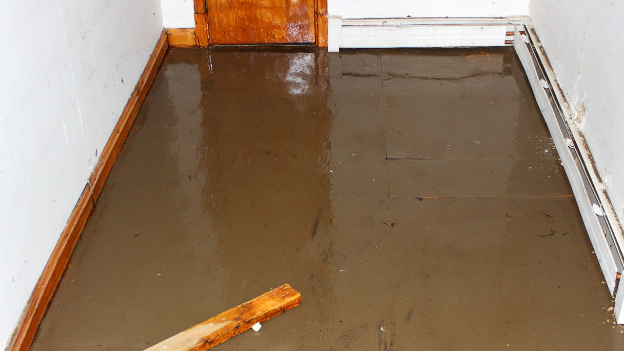 Flood Water Removal Services in Fruitport, MI