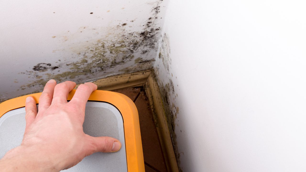 Mold Removal in Loudon, NH