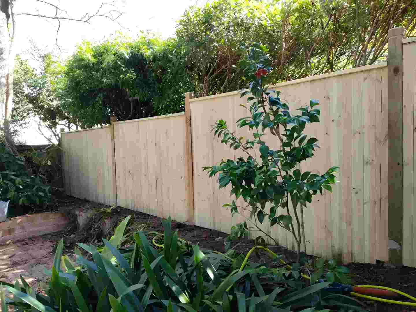 Fencing project with contrasting materials