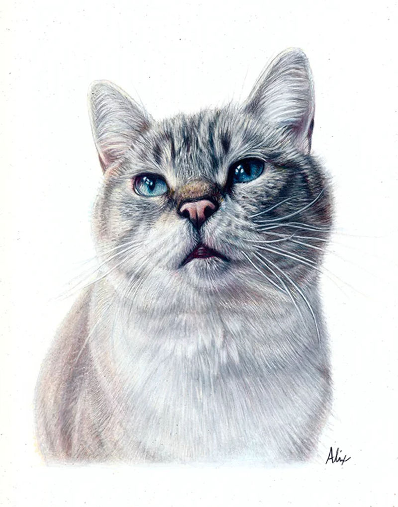Freya, a realistic colored pencil drawing by Alix Fuerst