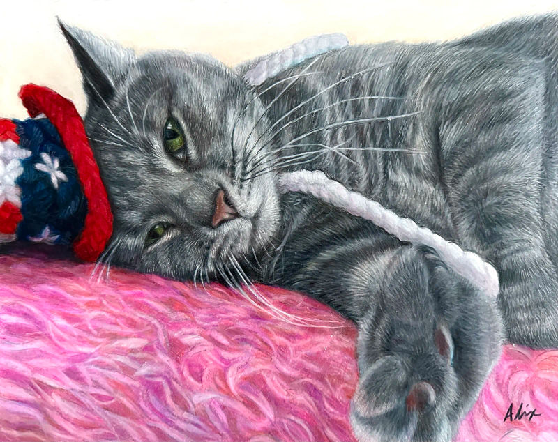 greycat, a realistic colored pencil drawing by Alix Fuerst