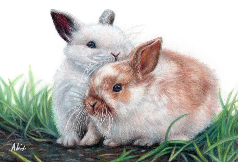 February, a realistic colored pencil drawing by Alix Fuerst
