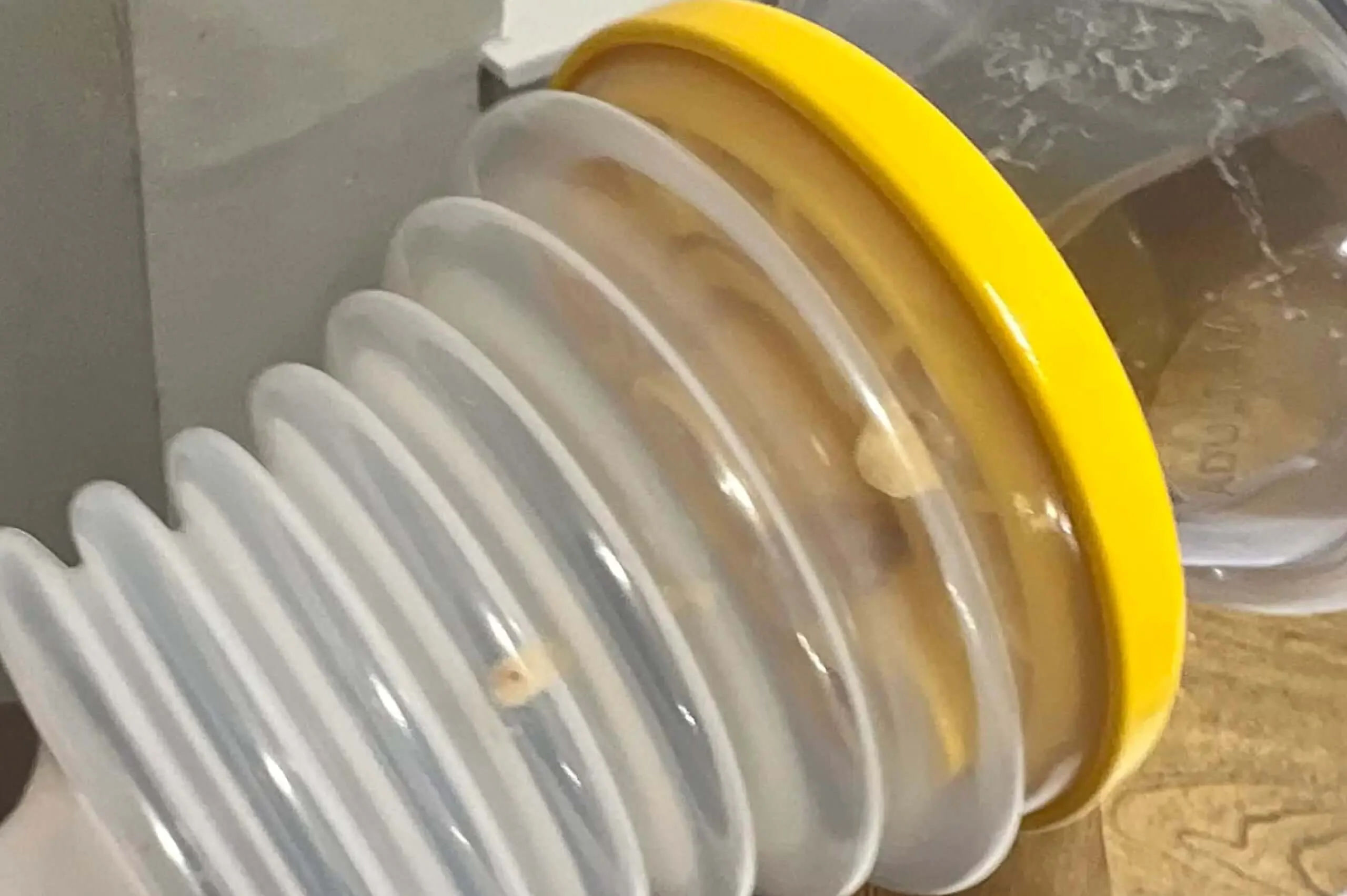 Dechocking Device LifeVac | The Official Choking Rescue Device