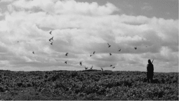 image16