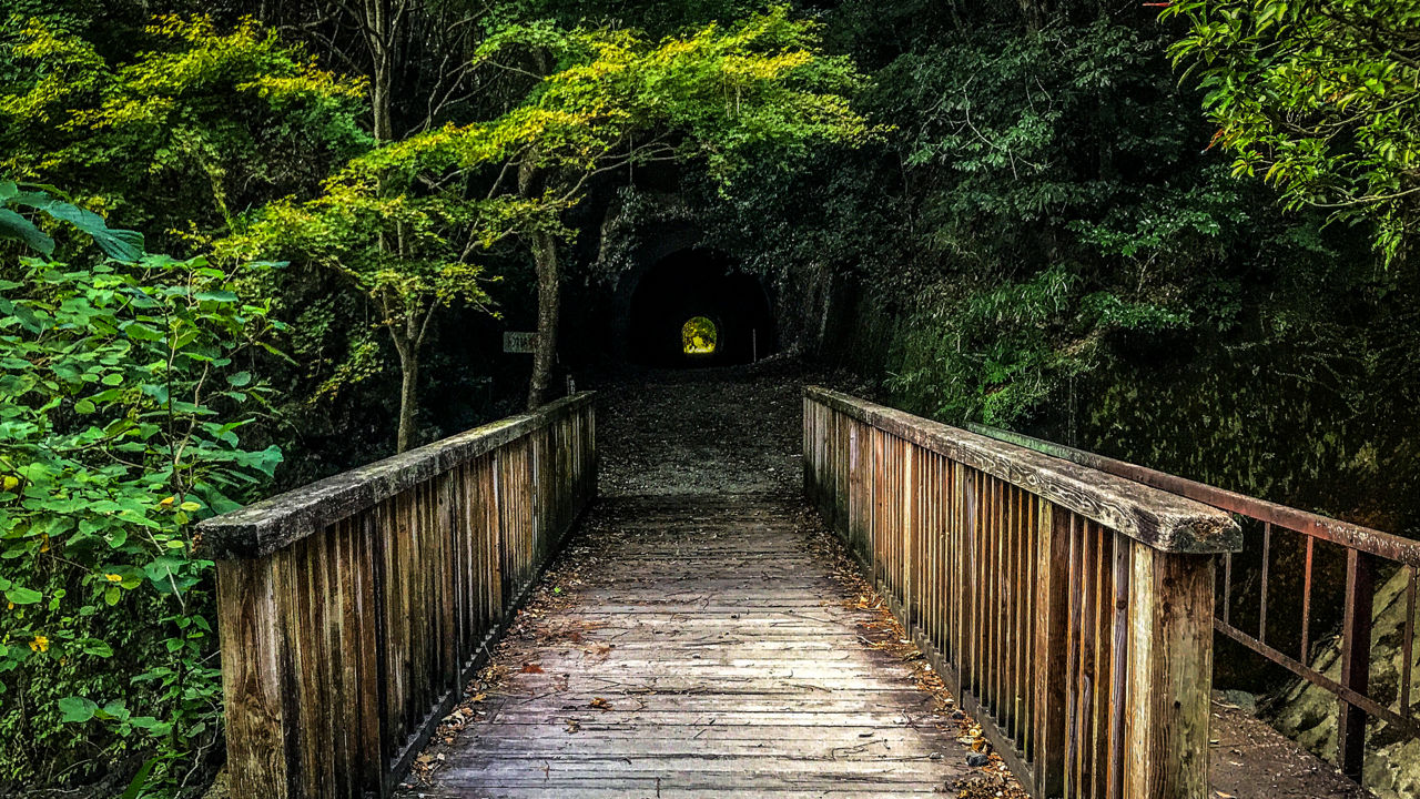 uma ponte para um túnel abandonado na floresta