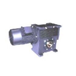 Worm Gear Motors