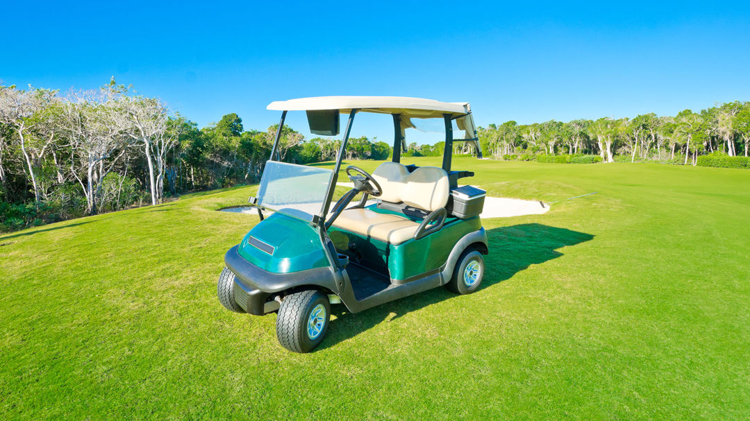 Golf Carts Atlanta Inc