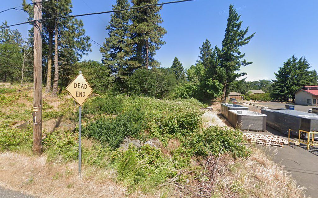 Leisure Carts Hood River