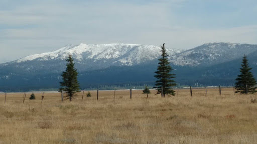 Yellowstone Towing and Repair