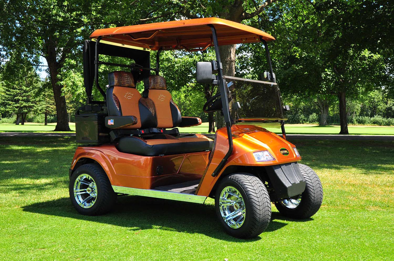Services & Products windycitygolfcart LLC in Knox IN