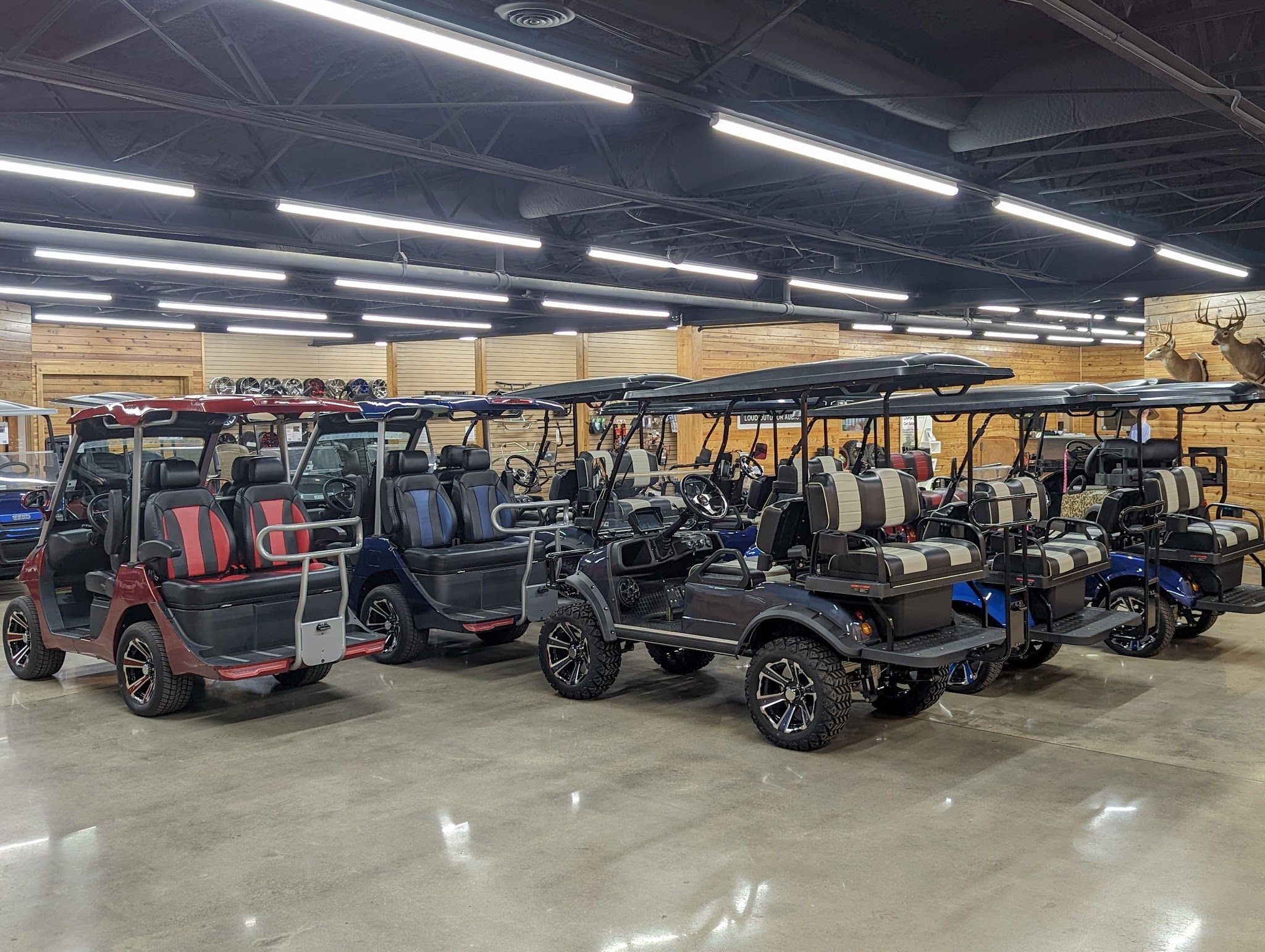 Services & Products Mr. Golf Carts in Waynesboro GA