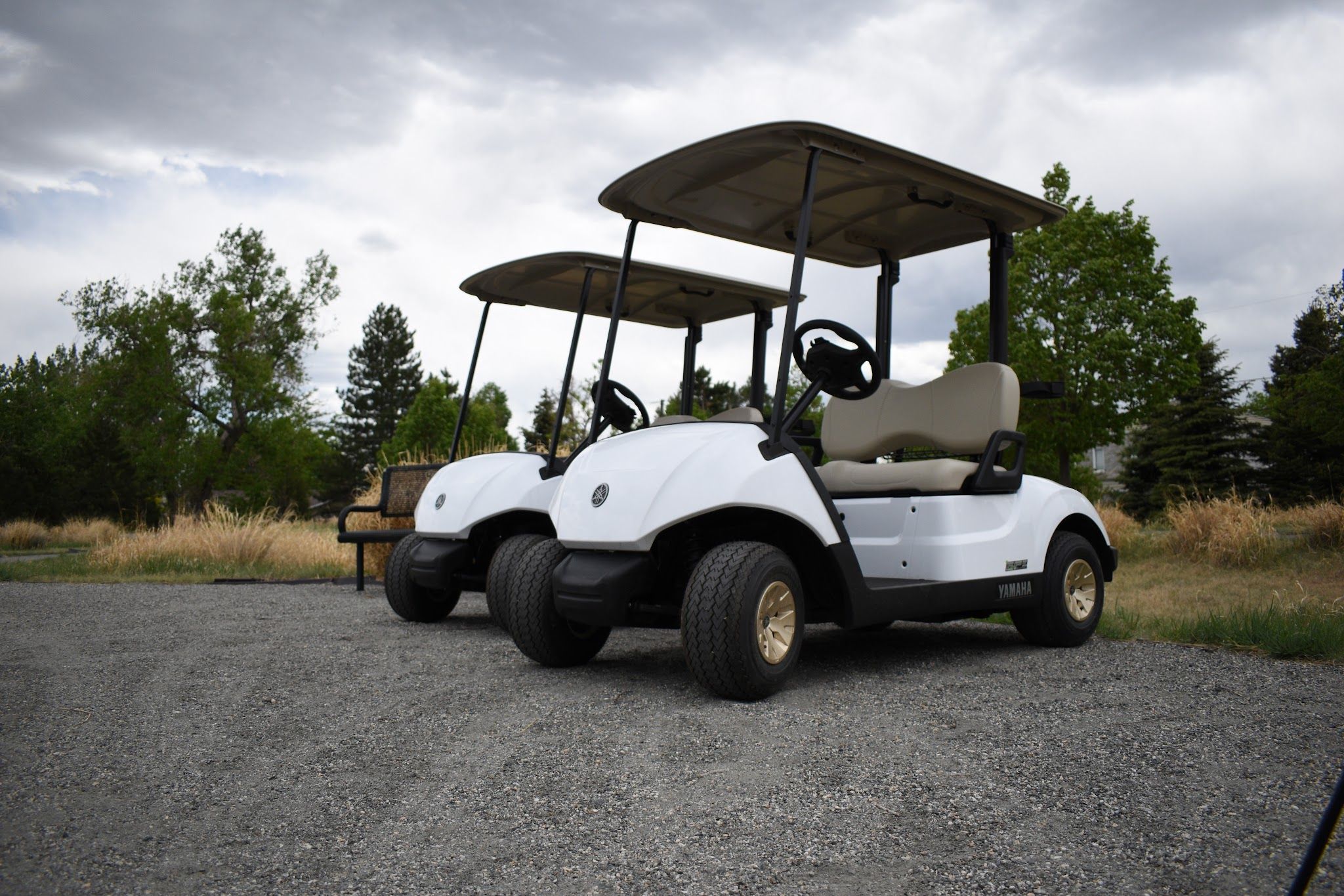 Services & Products Masek Golf Cars of Colorado in Commerce City CO