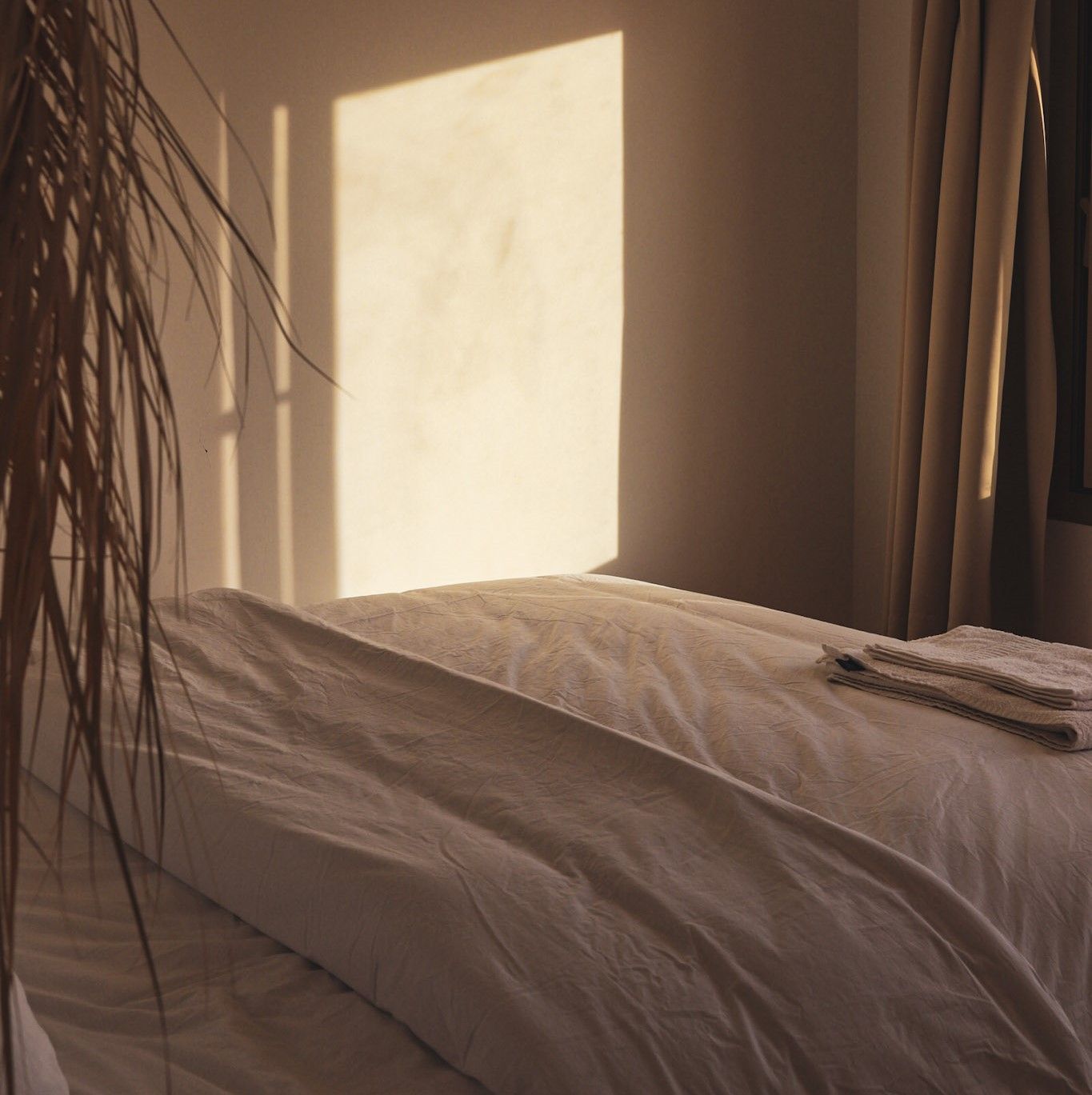 Cozy room interior at Swellora