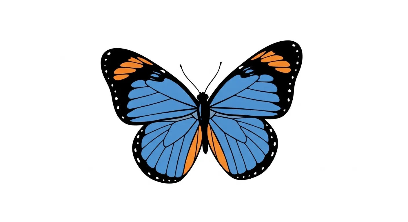 papillon facile à dessiner