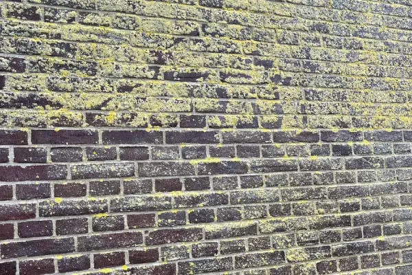 Woning Zeist voor en na reiniging - zichtbaar verschil in gevelkleur